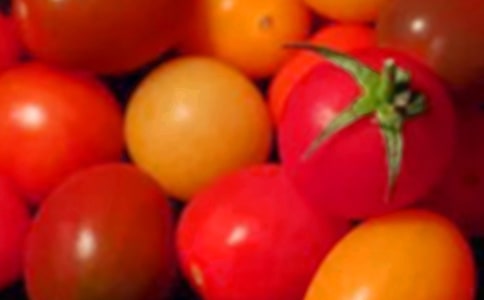 介绍圣女果的叙事作文500字