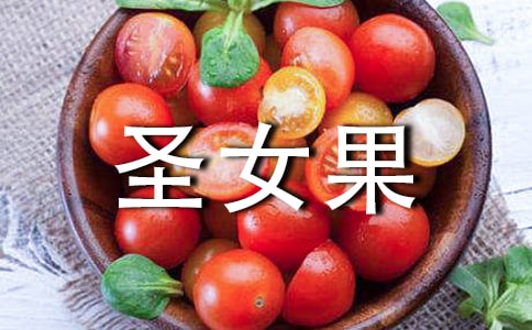 圣女果的启示-优秀作文500字