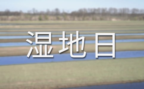 节日类英语作文:世界湿地日