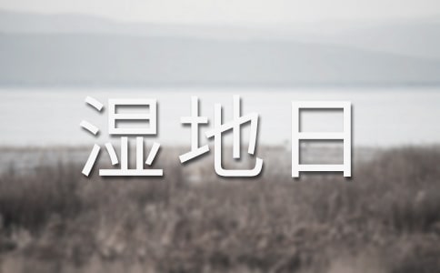 2025年世界湿地日倡议书(精选8篇)