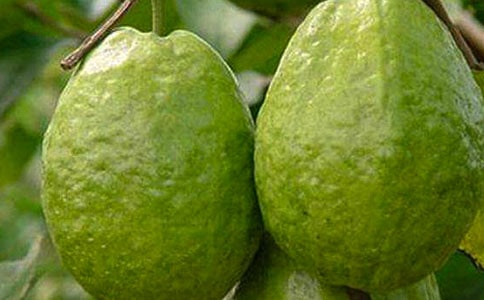 ʯ��400������