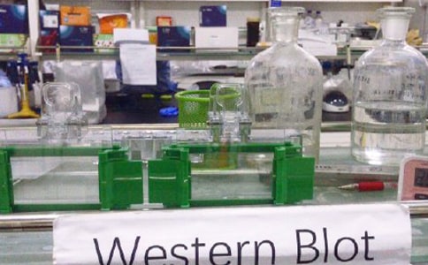 ʵ���ҹ����Ĺ����ƶȾ�ѡ10ƪ