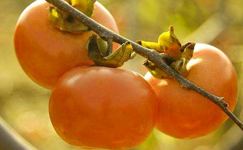 �������������300�֣�ͨ��33ƪ��