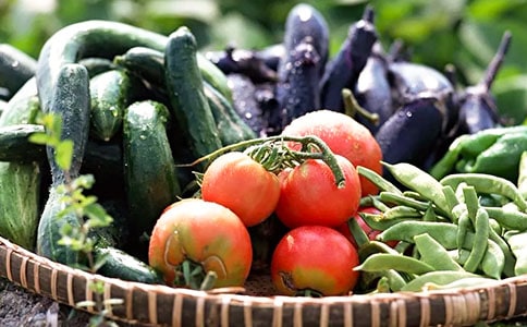 �߲˹�Ӧ����13ƪ