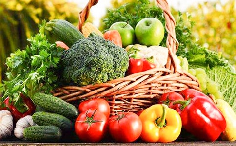 [����]�߲�������ͬģ��10ƪ