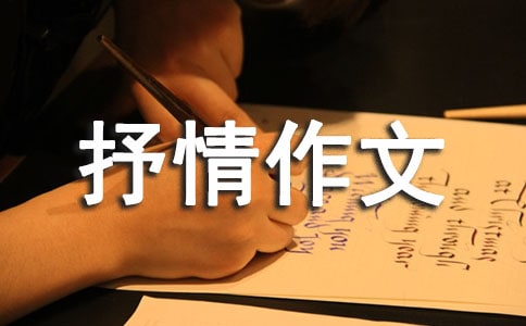 д���Լ���������500��