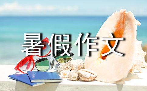 我的暑假作文200字-300字