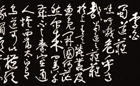 ����ѽ�ѧ���