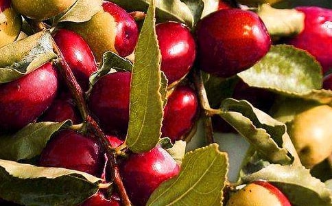 ˮ������С������̰�����ѧ��˼