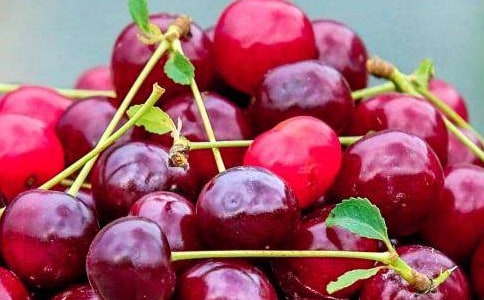 ũҵˮ����ֲ��ҵ�ƻ���