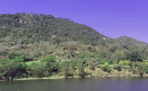 ˮ�ⰲȫ���������ѡ165�䣩