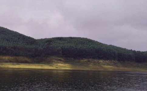 ˮ��а���ͬ(����15ƪ)