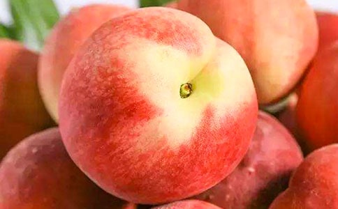 家乡的水蜜桃作文500字(精选29篇)