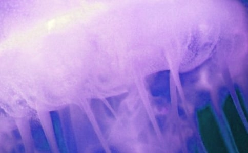 ��ˮĸ�����ҿ��ֳɳ�Сѧ����