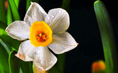 ��ѡˮ������400��3ƪ