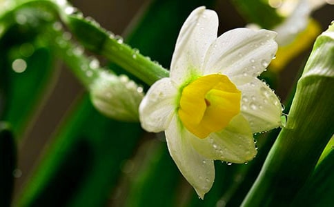 ˮ������300��7ƪ