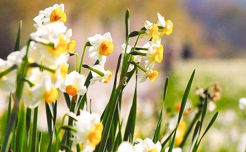 һ��������ˮ�ɻ�����300��