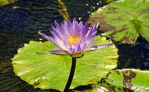 �Ҽҵ�˯��Сѧ����400��