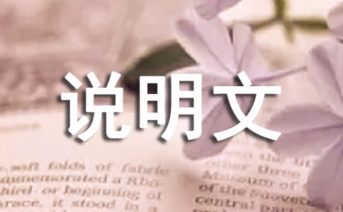 高一说明文:狗,800字