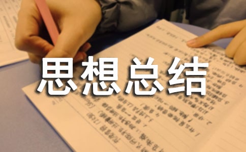 ������Ŀ�������˼���ܽᣨͨ��11ƪ��