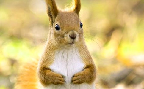 �����󡷽�ѧ��˼����15ƪ