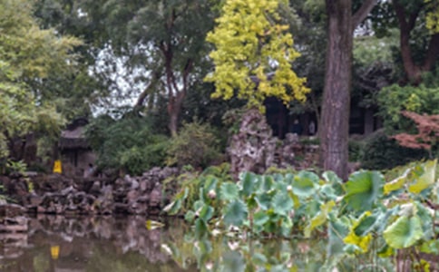 初中《苏州园林》教学设计