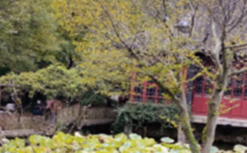 ����԰�ֽ�ѧ��Ʒ��ģ���ѡ11ƪ��