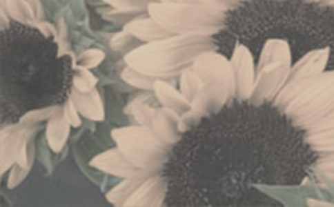 ������̫��������(6ƪ)