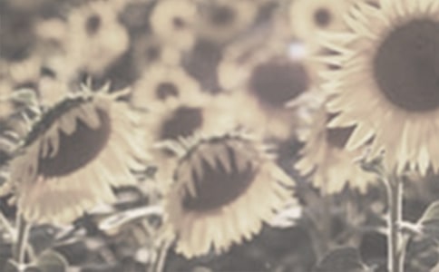 ̫����������