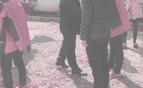 ̽�׼�������15ƪ