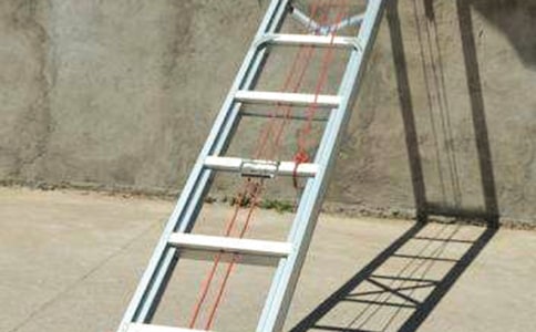 梯子阅读及答案