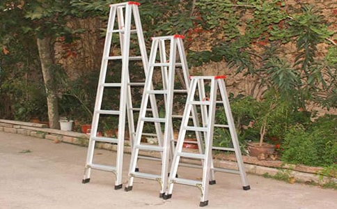 ������ʶ����ժ��