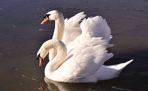 ��������꼶����600��