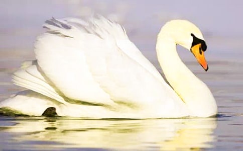 ����졢��Ϻ�����㡷��ѧ��Ʒ��ģ���ѡ5ƪ��