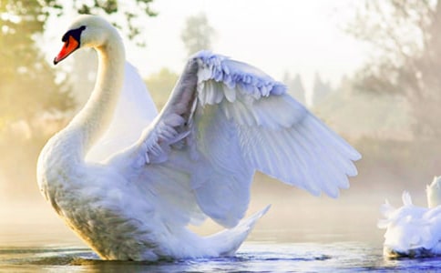 ��졢��Ϻ������Ľ�ѧ��Ʒ���