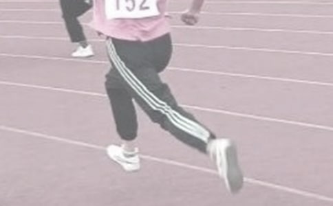 �ﾶ������ܽ�