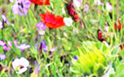 ��Ұ���꼶����400��