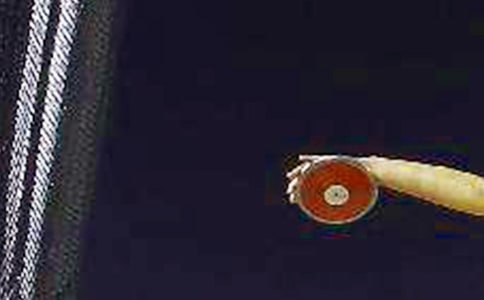 �������͸�15ƪ