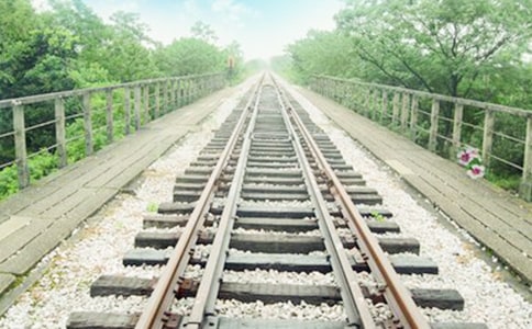 诗人余光中《记忆像铁轨一样长》