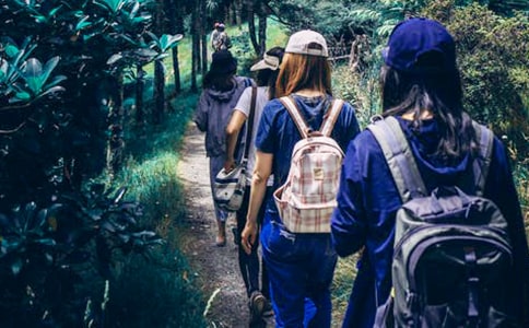 ��ͬѧ�ı�ҵ����(15ƪ)