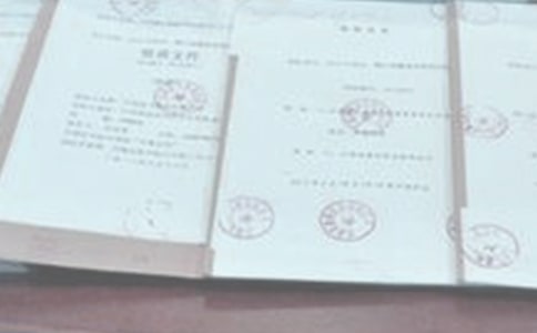 Ͷ�굥λ�����Ÿ�ʽ(10ƪ)