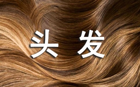 妈妈的头发作文(精选10篇)