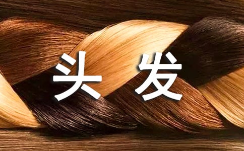 ͷ��Ϊʲô���̾�����ֱ