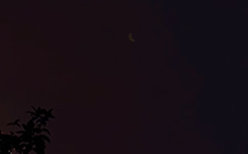 2022�곣��������������Ȧ�����56��