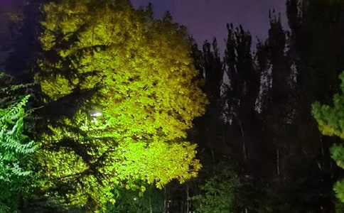 2022���й�������������Ȧ�����78��