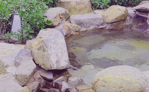 ����Ȫд������500��