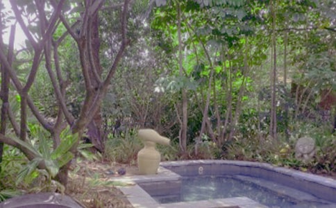 温泉一日游作文(精选19篇)