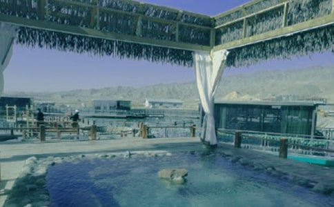 ��Ȫ�󵰵�600������