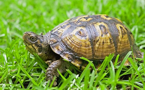 ��ɵ��ڹ��ѧ���