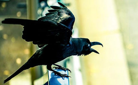 ����ѻ��ˮ����ѧ��˼